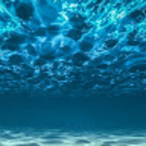 Meet your Posher, Josiah